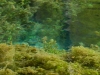 clitunno-fonti