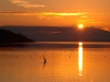 lago trasimeno